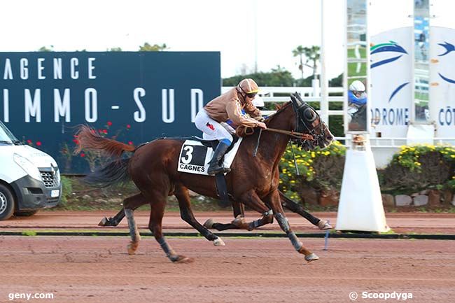 12/01/2023 - Cagnes-sur-Mer - Prix Hulk de Godisson : Arrivée