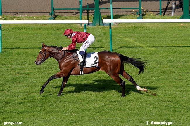 07/10/2023 - Chantilly - Prix Saraca : Arrivée