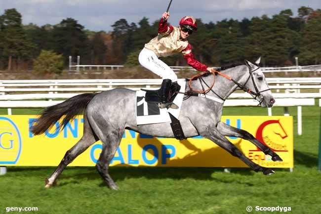 25/11/2023 - Fontainebleau - Prix Jacques de Vienne : Arrivée