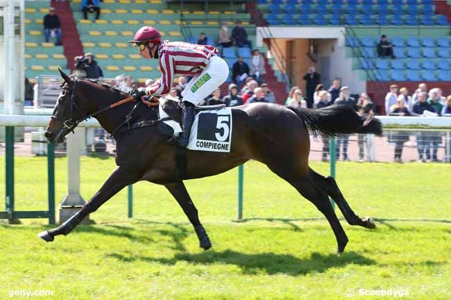 23/04/2024 - Compiègne - Prix du Finistère : Arrivée