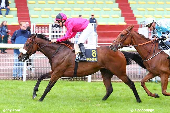 31/05/2024 - Compiègne - Prix de Margny-lès-Compiègne : Arrivée