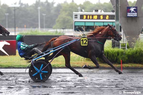 17/08/2024 - Vincennes - Prix Reine du Corta - Critérium 3 ans Q1 : Arrivée