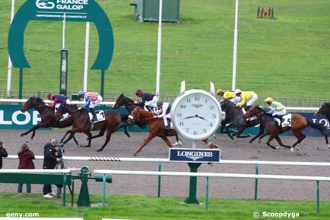 29/10/2024 - Chantilly - Prix de la Route des Coquins : Arrivée