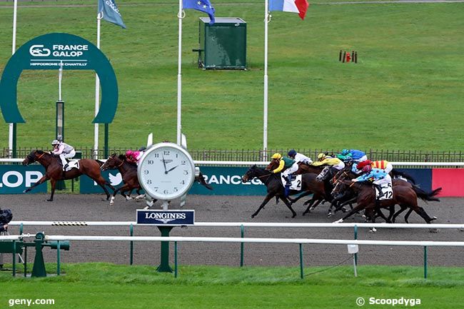 19/11/2024 - Chantilly - Prix de Beauvais : Arrivée