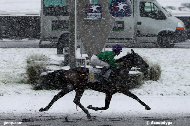 21/11/2024 - Vincennes - Prix Urgent : Ankunft