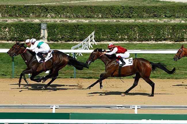 19/08/2009 - Deauville - Prix de Montaubin : Arrivée