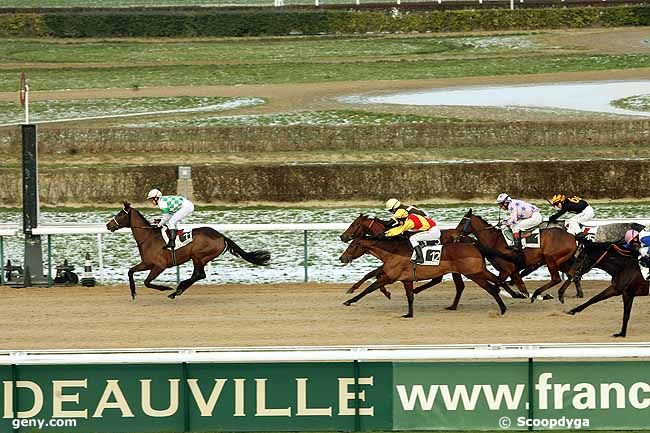 03/01/2010 - Deauville - Prix de Thaon : Arrivée