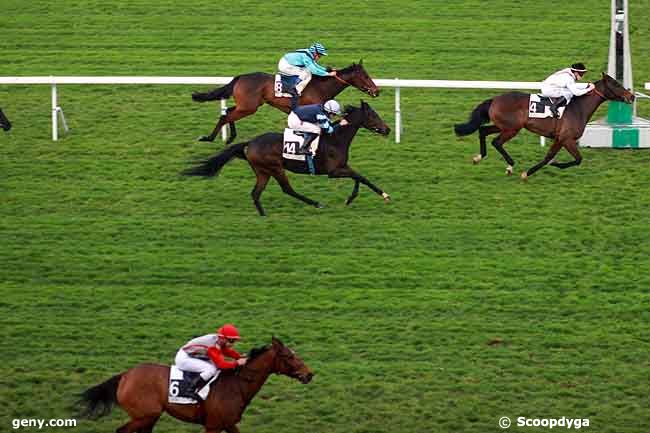 22/11/2011 - Saint-Cloud - Prix du Triangle de Rocquencourt : Arrivée