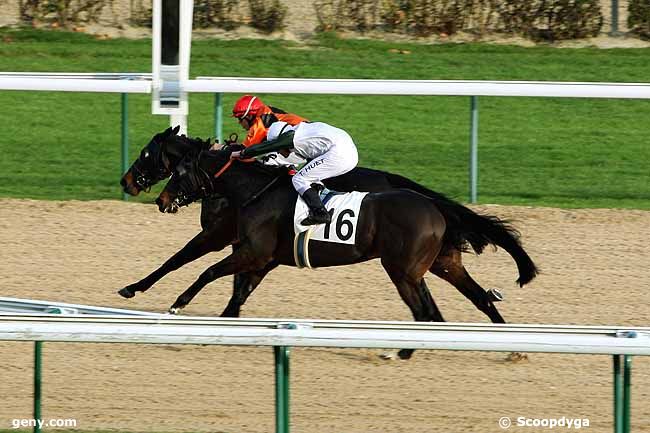 15/12/2012 - Deauville - Prix des Chaumières : Arrivée