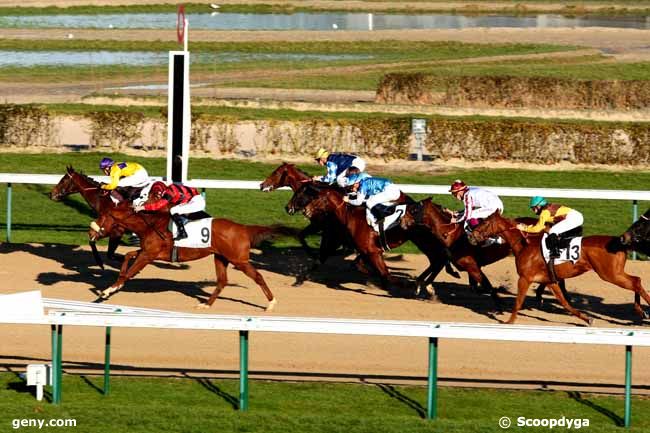 29/12/2013 - Deauville - Prix du Tertre : Arrivée