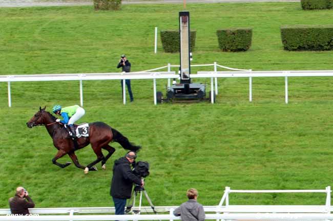 20/10/2014 - Clairefontaine-Deauville - Prix de Saint-Mars d'Egrenne : Arrivée