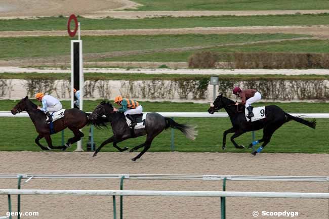 12/01/2015 - Deauville - Prix de la Fontaine Teauvillaise : Arrivée