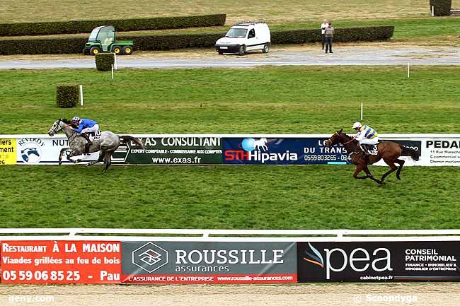 15/12/2015 - Pau - Prix de Saint-Vincent : Ankunft