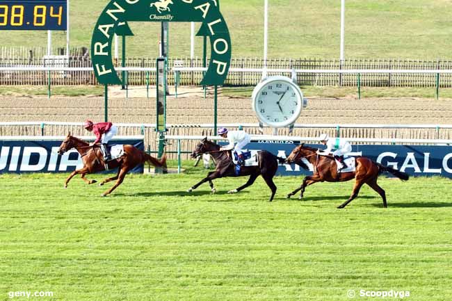 15/09/2018 - Chantilly - Prix de la Reconversion d'un Cheval de Courses en Cheval de Jumping : Arrivée