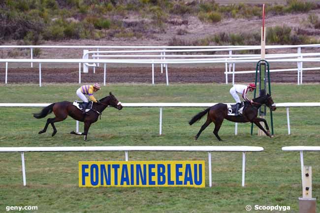 04/03/2019 - Fontainebleau - Prix Master Bob : Arrivée