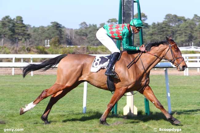 22/03/2019 - Fontainebleau - Prix de la Société des Courses du Pin : Arrivée