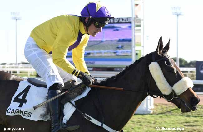 24/12/2019 - Cagnes-sur-Mer - Prix du Cap Benat : Ankunft