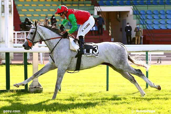 11/05/2020 - Compiègne - Prix Collins : Arrivée