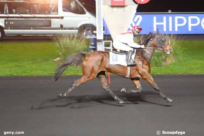 06/11/2020 - Vincennes - Prix Sophia : Ankunft