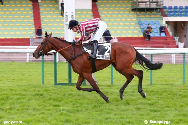 17/05/2021 - Compiègne - Prix Gacko : Arrivée