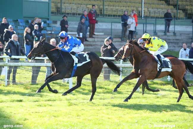 12/11/2021 - Fontainebleau - Prix Contessina : Arrivée