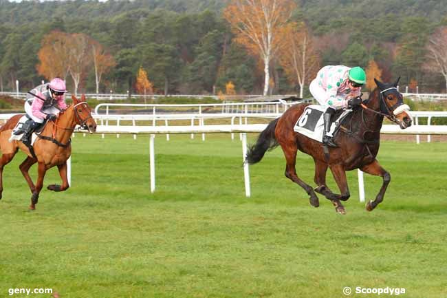 22/11/2021 - Fontainebleau - Prix Henry Maze-Sencier : Arrivée