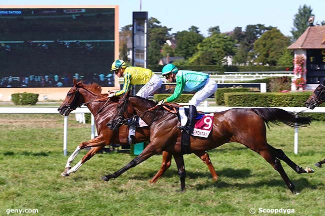 13/08/2022 - Clairefontaine-Deauville - Prix Bellypha : Arrivée