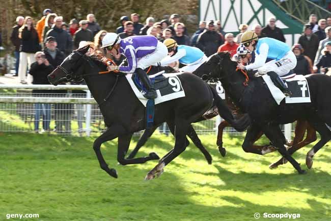 25/11/2023 - Fontainebleau - Prix Contessina : Arrivée