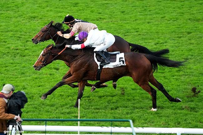 26/10/2024 - Chantilly - Prix du Bois Laris : Arrivée