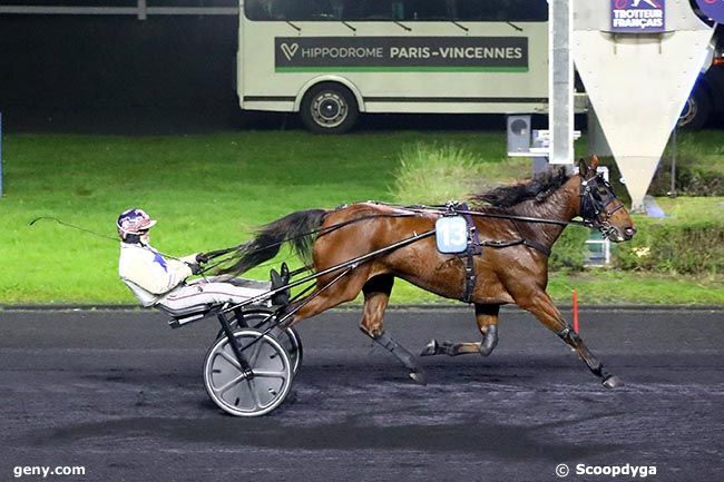 05/11/2024 - Vincennes - Prix de Vienne : Arrivée