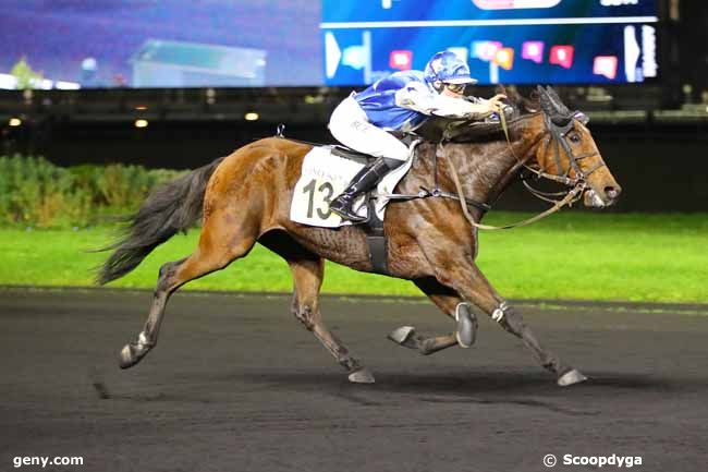 08/11/2024 - Vincennes - Prix Nemesis : Arrivée