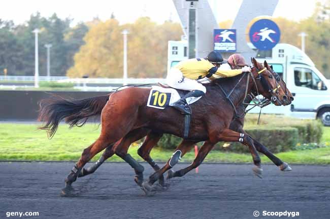 14/11/2024 - Vincennes - Prix Albert Libeer : Arrivée