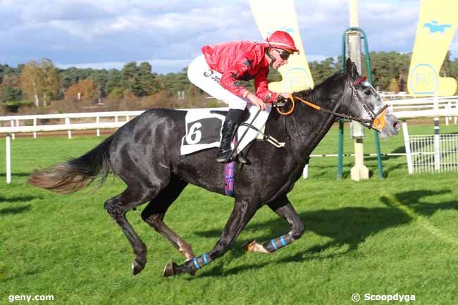 20/11/2024 - Fontainebleau - Prix de la Route Amélie : Ankunft