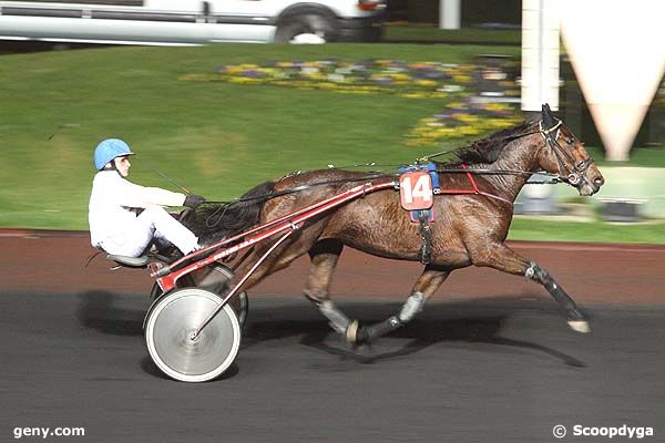 14/11/2008 - Vincennes - Prix Hestia : Result