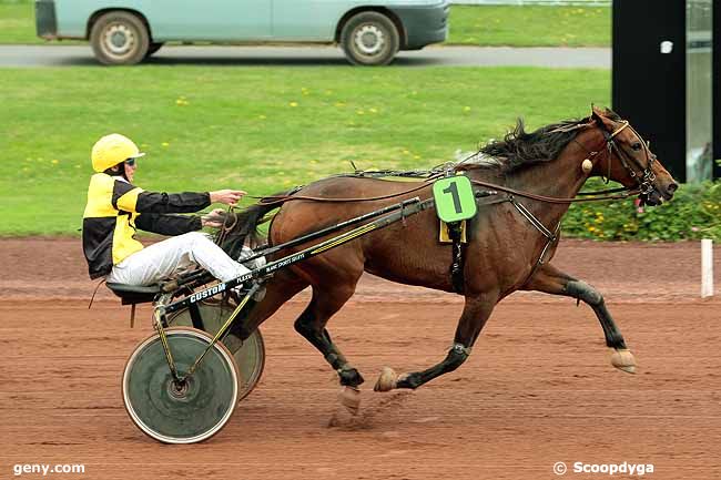 11/10/2010 - Feurs - Prix des Oeillets : Result