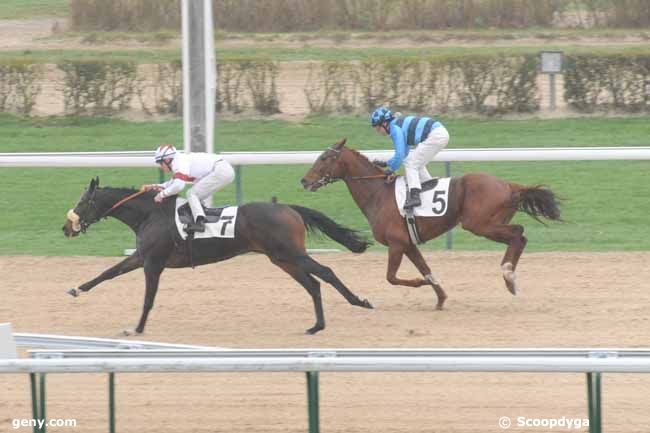 09/01/2013 - Deauville - Prix du Taillis : Ankunft