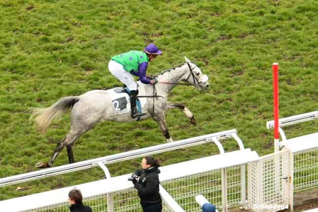 24/03/2013 - Auteuil - Prix Auricula : Result