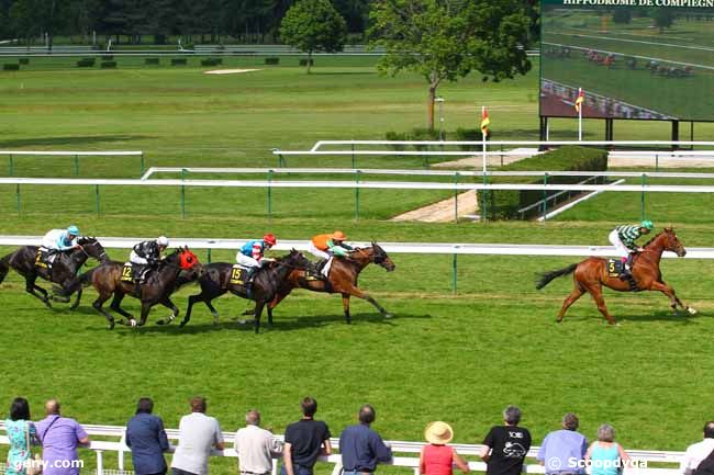 07/06/2013 - Compiègne - Prix de Ressons : Arrivée