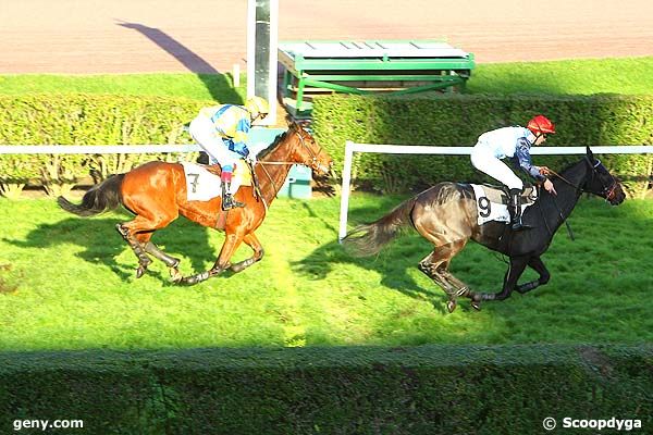 13/11/2013 - Enghien - Prix des Coudraies : Result