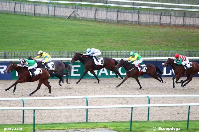 15/11/2013 - Chantilly - Prix des Courtils : Arrivée