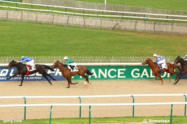 26/11/2013 - Chantilly - Prix de Trossy : Arrivée