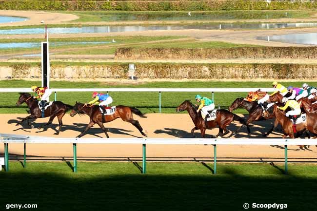 29/12/2013 - Deauville - Prix de la Tortonne : Arrivée