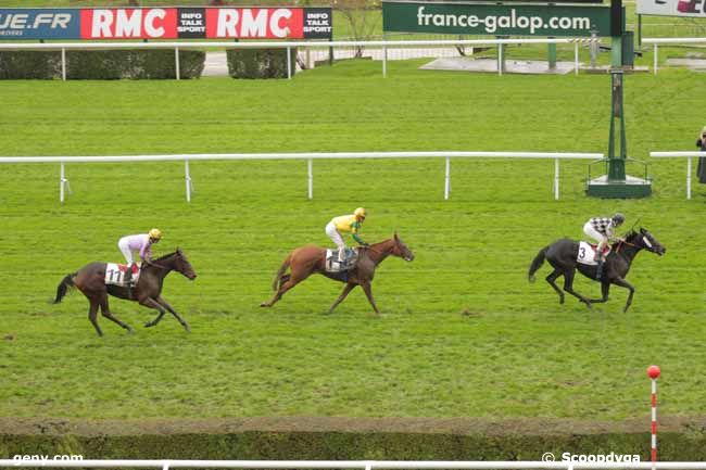 20/11/2015 - Saint-Cloud - Prix de Joyenval : Result