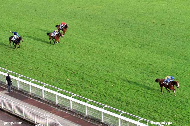 23/11/2016 - Auteuil - Prix Marly River : Result