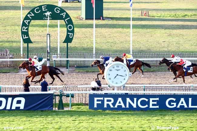 15/09/2018 - Chantilly - Prix de la Reconversion d'un Cheval de Courses en Cheval de Polo : Arrivée
