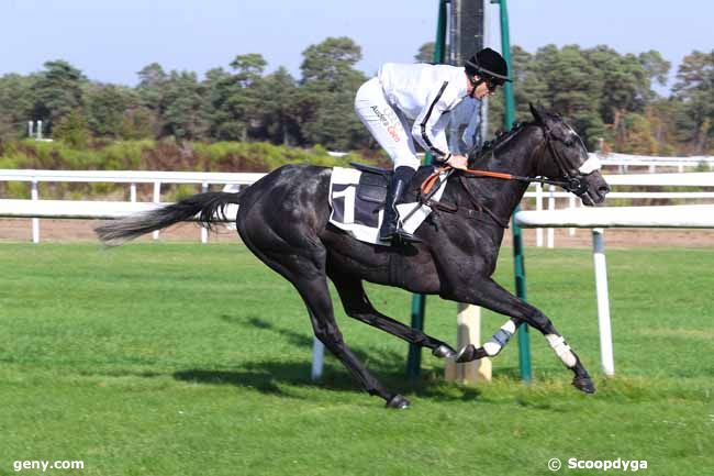 16/10/2018 - Fontainebleau - Prix d'Ury : Arrivée