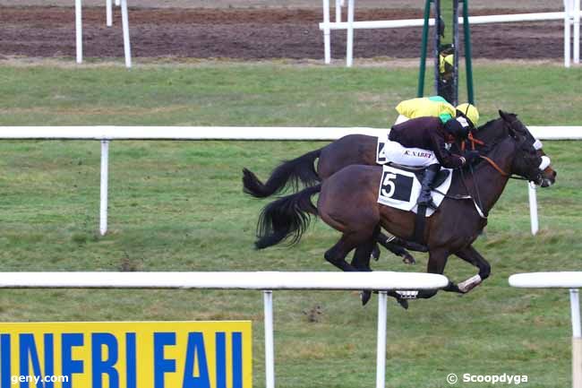 04/03/2019 - Fontainebleau - Prix du Mont Chauvet : Arrivée