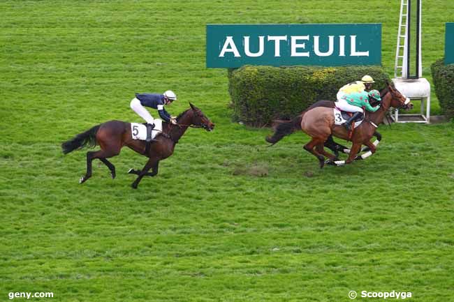 24/03/2019 - Auteuil - Prix Colonel de la Horie : Arrivée