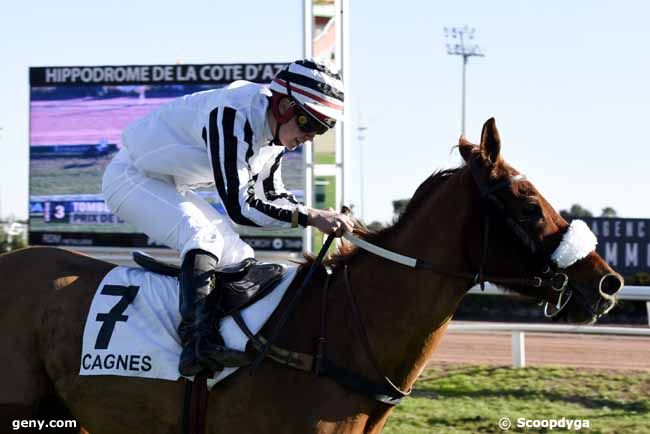 24/12/2019 - Cagnes-sur-Mer - Prix de la Tamise : Arrivée