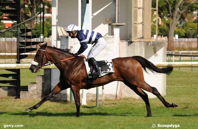 20/07/2020 - Vichy - Prix de la Forêt de Tronçais : Arrivée